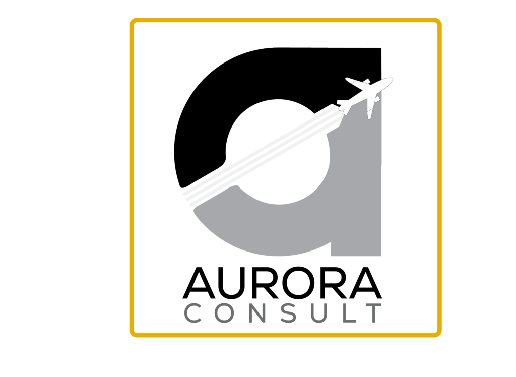 Logo featuring a stylized letter 'a' with an airplane ascending along its right side, leaving a contrail. The word 'CONSULT' is written below in uppercase letters.