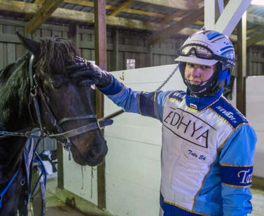 Ravikuski hymyilee ja silittää hevosta tallissa. Hänellä on päällään sinivalkoinen ajopuku ja kypärä, ja hevonen on valjaissa.