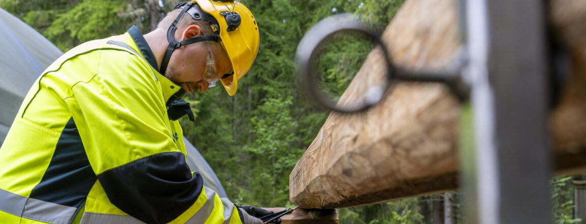Mies keltaisessa heijastintakissa ja kypärässä työskentelee hirsikehikon parissa.